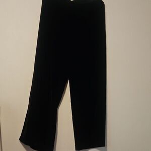 Wynne collection velvet pants L